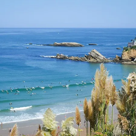 Appartamento New ! Splendide T2 Hyper Centre Biarritz